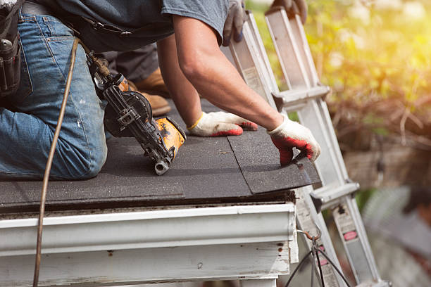 Best Roof Gutter Cleaning  in Piney, AR